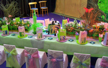 Tinkerbell Theme - 7 Stars