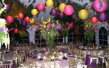 Garden Theme - 8 Stars