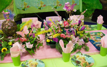 Tinkerbell Theme - 5 Stars