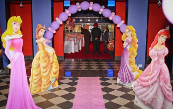 Princess Theme - 5 Stars