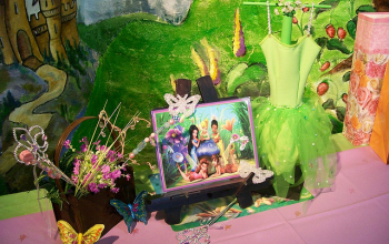 Tinkerbell Theme - 3 Stars